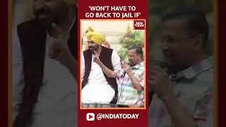 Arvind Kejriwal's Appeal To Voters: 'Won't Have To Go Back To Jail If...' | Lok Sabha Election