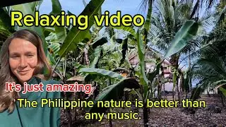 THE SOUNDS OF PHILIPPINE MORNING NATURE IN THE VILLAGE / 5 a.m. Samal Island 