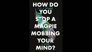How Do You Stop a Magpie Mobbing Your Mind? &ndash; Animated Book Cover