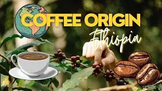 Did you know ? Ethiopia: A Glimpse into the Birthplace of Coffee Excellence