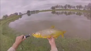 Pesca de dourado com isca artificial
