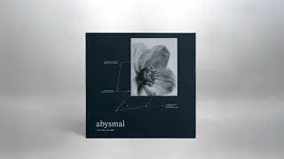 fusus - Abysmal