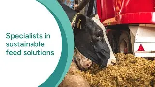 Duynie - Specialists in sustainable feed solutions