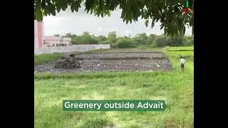 Greenery around Advait
