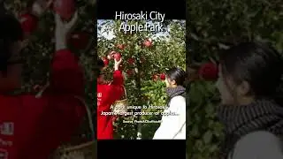 Aomori, Nebuta Festival, Apple, Japan to go, a little-known place.　#shorts