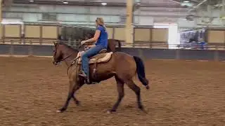 Chesters Miss Oakley loping