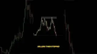 Support #trading #btcusd #ethereumdevelopment #new #shorts #stockmarket #liquidity