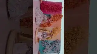 Haldi Ceremony Highlights | Dr. Srushti & Dr. VInit | Pure Joy & Yellow Glow | Wedding Short