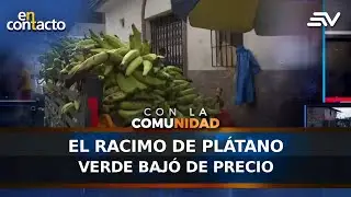 El racimo de platano verde bajó de precio | En Contacto | Ecuavisa