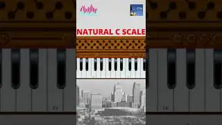 NATURAL C SCALE ON HARMONIUM | HARMOIUM TUTORIAL 2021 #shorts