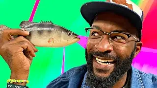 Name That Fish | The Loop Show