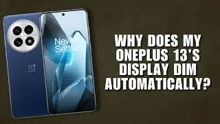 Why Does My OnePlus 13&rsquo;s Display Dim Automatically?