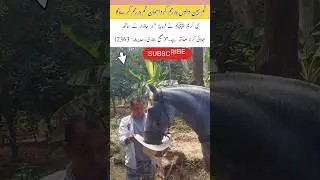 great job 👏 #green #humanity #good #love #respect #mercy #music #viralvideo #funny #comedy #trending
