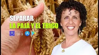 Samec Meciel y Natacha Henr&iacute;quez Paneyko: La Separaci&oacute;n C&iacute;clica de la Paja y el Trigo