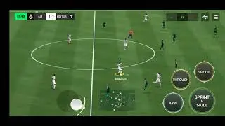 PLAYING WITH CRUFF AND ZIDANE🥵🥵🥵🥵🥵🥵🥵🥵🥵🥵🥵