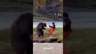 Kung-Fu bear gets in a fight with human //  #shorts #short #memes