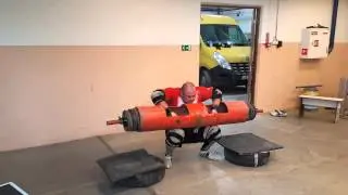 Dainis Zageris  Loglift 195 kg