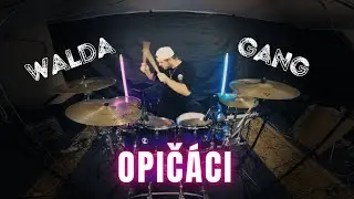 Walda Gang - OPIČÁCI | Drum Cover (2022)