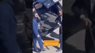 Animal movie deleted scenes😎😎