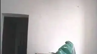 Dynamic Test Video of 520TVL Color Board Camera