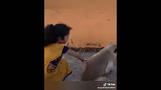 girl playing with monkey #kidsvideo #animallovers