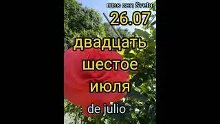 ruso con Sveta la fecha de hoy 26 июля 2022 года