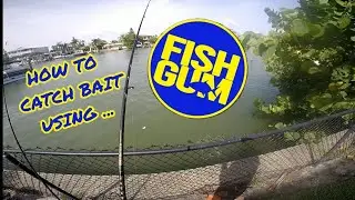 How to catch bait using FISHGUM