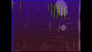 lzx videomancer test