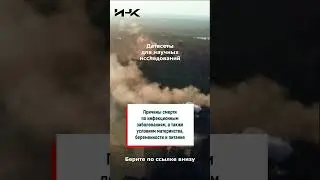 Датасет 