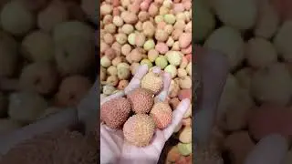 Lychee Fruit 😋💖 #lychee #shorts #fruit #youtubeshorts #delicious #juicy #shortsvideo