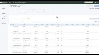 Understanding Your Working Trial Balance In QuickBooks Online Accountant