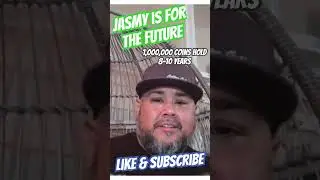 JASMY COIN HOLDING 1,000,000 coins 8-10 years ! #cryptocurrency