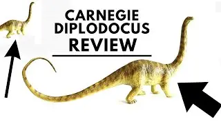 Carnegie diplodocus review