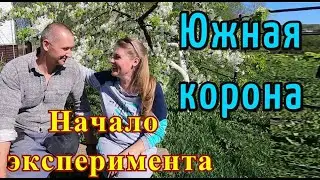 КОМБИКОРМ ЮЖНАЯ КОРОНА. Начало эксперимента