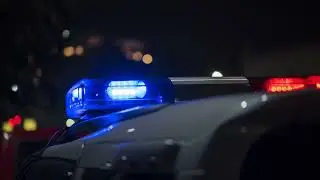 ICE Confirms Augusta County Hit-and-Run Suspect Was in U.S. Illegally After Deadly Saturday Crash