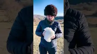 Как ухаживать за Папахой