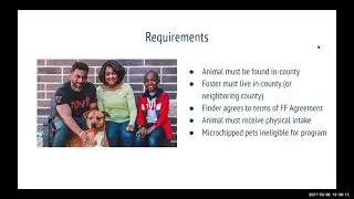 Friendly Finder at LifeLine Animal Project - Annie Alder - Foster WG