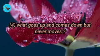 #Puzzles#riddles#aboutourworld#about our world