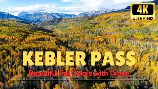 Kebler Pass Fall Colors