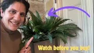 Honest unbiased opinion on artificial ferns