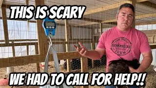 This Has Been My Biggest Fear!! They Could Be In Danger!!