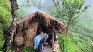 Beautiful village life || Organic cooking life || simple life-story dally walking lifestyle 