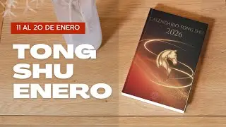 Tong Shu Diario 11 al 20 de Enero