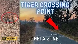 Dhela Village के पास है यह FRH | Dhela Zone | Corbett Tales #wildlife