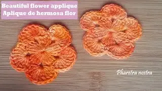 BEAUTIFUL FLOWER APPLIQUE/ APLIQUE DE FLOR A CROCHET  #stepbysteptutorial #floracrochet  #cute