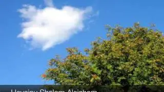 Taleamus - Heveinu Shalom Aleichem
