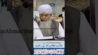 Talib e Ilm Par ALLAH Ki Rehmat - Peer Zulfiqar Ahmad Naqshbandi DBA - طالبِ علم پراللہ کی رحمت