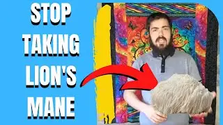Stop Taking Lion's Mane While Microdosing NOW - Stamets' Stack Isn't for Everyone
