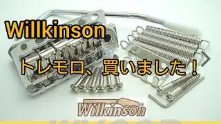 ウィルキンソンのトレモロ、買いました❗
