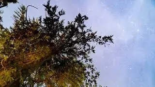 STARS MOVING FAST IN THE SKY#meditation#youtube#viralvideo